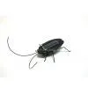 Solar Powered Toy thumbnail-1