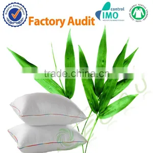 60x40,300T 100% Bamboo Pillow thumbnail-1