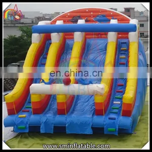 Promotion Inflatable Dolphins Water Slide, Dual Lane Water Slide for Event thumbnail-2