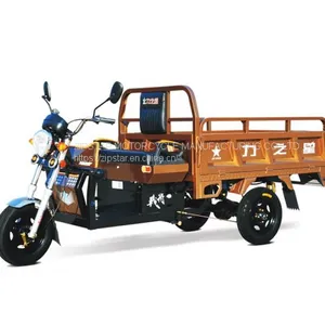 Tricycle thumbnail-4