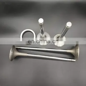 Custom Design Auto Part Inlet Exhaust Engine Valve for BMW M1M2M3M4M5M6 X1X3X4x5x6 N55 N52 N46 N20 N54 thumbnail-7
