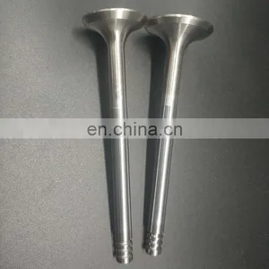 For Truck Isuzuu 6SA1 6SD1 Engine Valves Assy Inlet Outlet Diesel Spare Engine Parts 1-12551-089-0 thumbnail-6