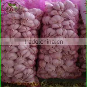 (NEW) 2015 FRESH Garlic/New Garlic;HOT! HOT! HOT! thumbnail-1
