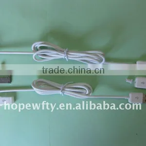 Apple Plug & USB AM With Cable Assembly thumbnail-1
