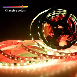 Digital Ucs1903 Addressable Ws2811 Light 12v Programmable Dreamcolor Ucs1903 Digital Led Strip Light thumbnail-1