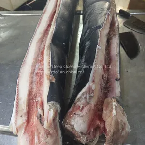 Blue Shark Fillet/loin thumbnail-2