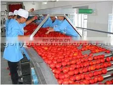 Cold Crush Fresh Tomato Paste /jam/ketchup Production Line for Sale thumbnail-3