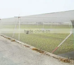 Anti-Insect Nets thumbnail-1