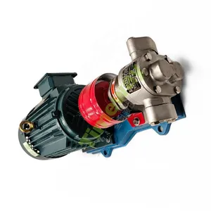 KCB Oil Transfer Pump Electrified Unit KCB33.3 Gear Type Fuel Pump With Motor 304 Stainless Steel Self-priming Pump thumbnail-5