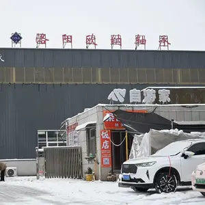 Luoyang Ouna Bearing Co., Ltd. company overview - view 1 thumbnail
