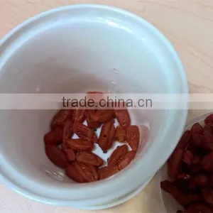 High Quality Goji Berry Tea thumbnail-3