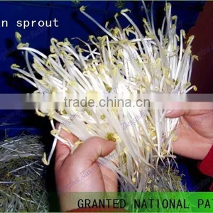 Hot Sales Automatic Equipments for Shoots /peas /radish /alfalfa Sprouts Cultivate thumbnail-2