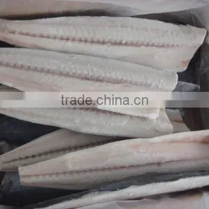 Spanish Mackerel Fillet and Scomberomorus Niphonius thumbnail-1