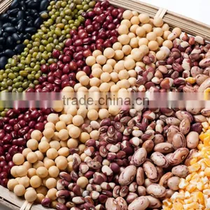 Lucao Brand Soybean Cleaning Machine/lentil Cleaning Machine/bean Cleaning Machine With Loww Price thumbnail-4