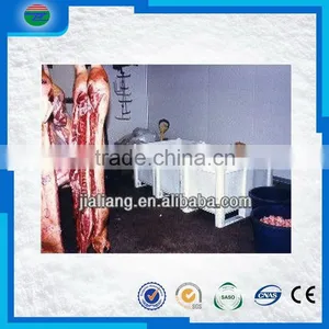 Hot New Professional Design of a Cold Storage/cold Room for Meat Storage thumbnail-1