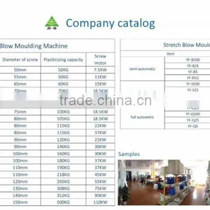 Max 5Litre PET Bottle Extrusion Blow Molding Machine thumbnail-2