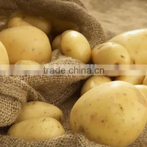 Fresh Potatoes thumbnail-1