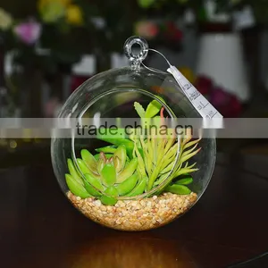 We Export Succulent Plants Geometric Glass Terrarium Wholeasle thumbnail-1