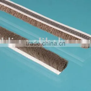 Weatherstrip thumbnail-1
