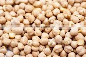 Premium Quality Chickpeas thumbnail-5