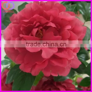 Decoration Wholesale Artificial Peony Tree thumbnail-4