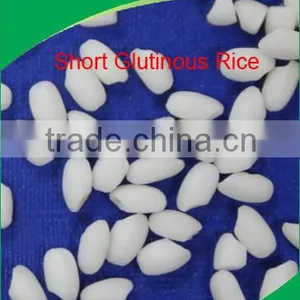 GLUTINOUS RICE 100% CLEAN GOOD PRICE thumbnail-2
