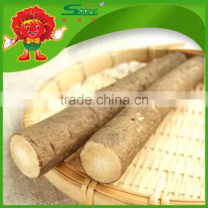 High Quality Chinese Fresh Burdock, Best Natural Burdock Root for Export thumbnail-2