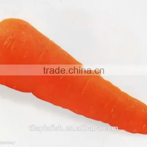 Red Carrot, Fresh Carrot From Xiamen HHF thumbnail-1
