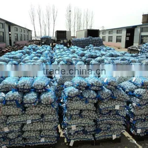 Chinese Fresh Garlic 2015 Garlic thumbnail-1