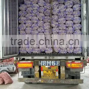 ISO 9001 Fresh Chinese Natural White Garlic thumbnail-6
