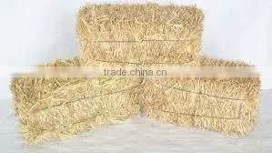 Hay Straw Bale, Wheat Straw Hay, Wheat Hay Bale, Straw Hay Bale, Straw Hay, Wheat Bale thumbnail-1