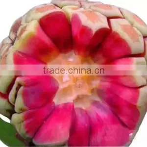 Kadsura Coccinea Fruiter Seeds for Growing thumbnail-6