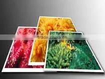 Self-Adhesive PP Paper thumbnail-1