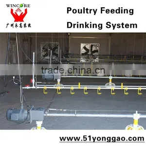 Hot Salling Poultry Feeding System for Automatic Poultry Farming Equipment for Chickens thumbnail-4