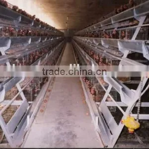 Best Selling Quail Cage For Sale in Quail Farm thumbnail-4
