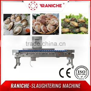 Seafood Weight Sorting Machine for Sea Shell thumbnail-1