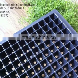 406 Cell Black PS Material Plastic Nursery Seed Germination Tray /Plant Seedling Tray thumbnail-6