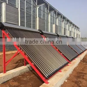 2016 New Design Greenhouses for Roses thumbnail-2