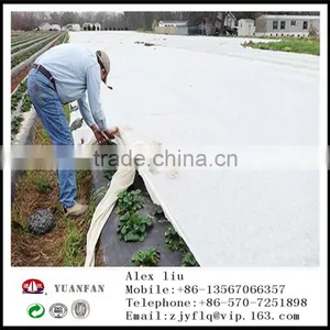 Plant Cover Non Woven Fabric Made in China thumbnail-1
