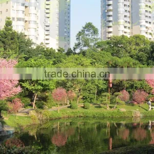 High Simulation Artificial Cherry Blooming Flowering Tree for Outdoor Landscaping thumbnail-3