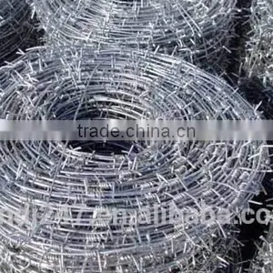 Hot Sale Barbed Wire for Building With Factory Price thumbnail-4
