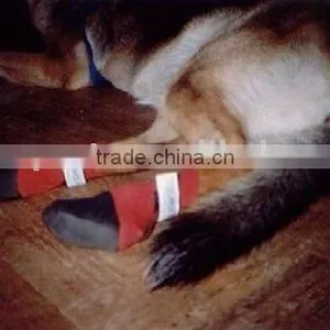 Neoprene Dog Shoes thumbnail-1