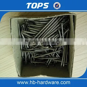 Common Nail thumbnail-6