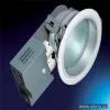 Sell Frost Protected Down Light thumbnail-1