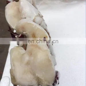 Wholesale Frozen Cut Blue Swimming Crab for Market thumbnail-4
