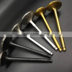 Diesel ATV MOTORCYCLE Spare Parts Intake Exhaust Engine Valve for Tgb Blade 250 325 425 550 500 1000 SL EFI thumbnail-5