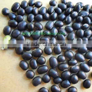 Organic Black Bean Green Kernel thumbnail-1
