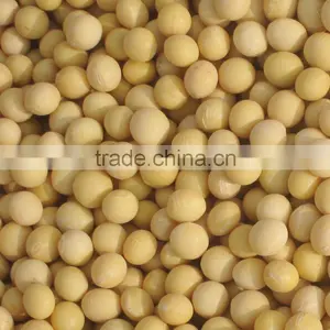 Soyabean thumbnail-1