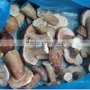 Frozen Boletus Edulis, Whole, Grade A, 6cm up thumbnail-1