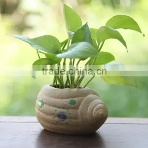 Garden Ceramic Flower Pot Wholesale thumbnail-1